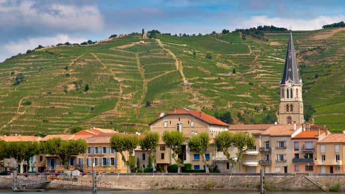 lyon tour de medio día de cata de vinos vienne y côterôtie