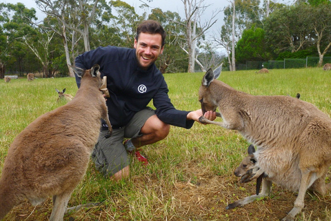 Mount Lofty Downhill Bike Tour & Cleland Wildlife Park Visit