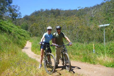 Mount Lofty Downhill Bike Tour & Cleland Wildlife Park Visit