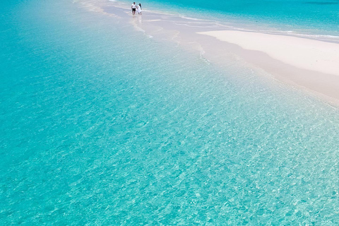 Zanzibar: escursione di un giorno al banco di sabbia di Nakupenda con snorkeling