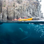 Tasman Peninsula Full-Day Sea Kayak Excursion