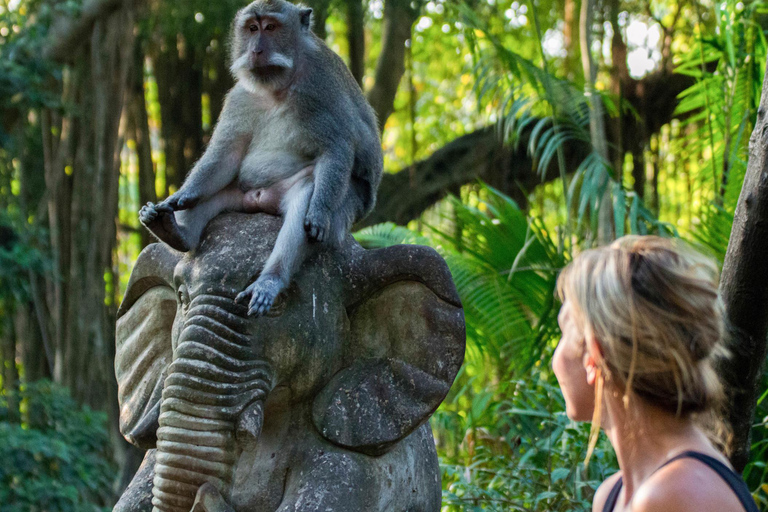 Ubud: privé-ervaring Monkey Forest, Rijstterras en Tanah LotExcursie met een Koreaanssprekende gids