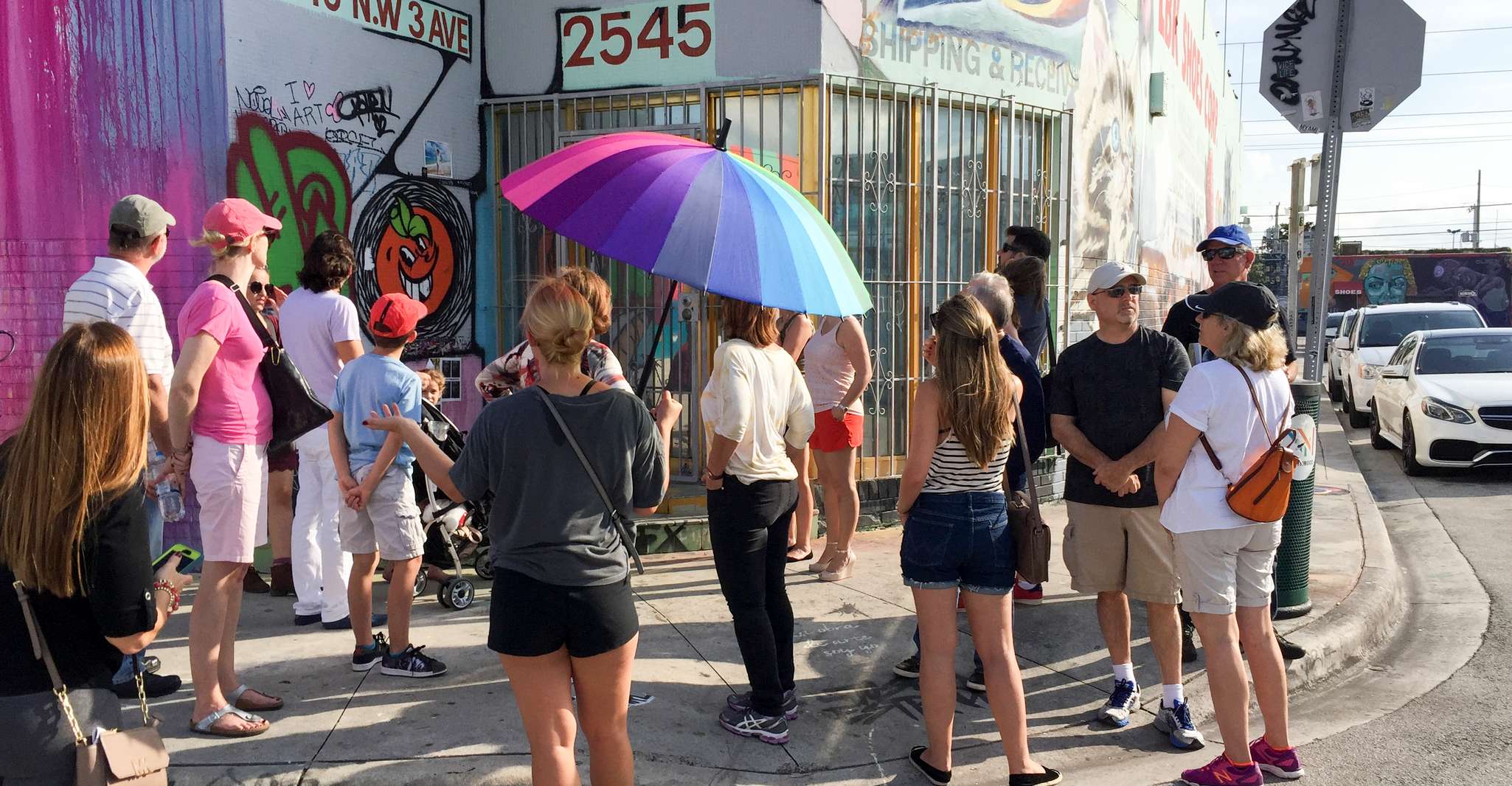 Miami: Wynwood Arts District Walking Tour photo 4