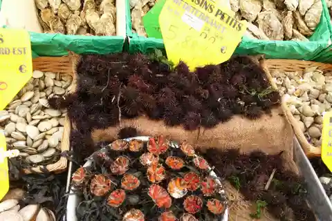 Marsella: Tour gastronómico a pie de 3 horas en excursión en tierra