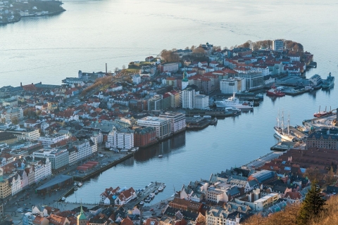 Bergen: Prywatna wycieczka z lokalnymi2-godzinna wycieczka