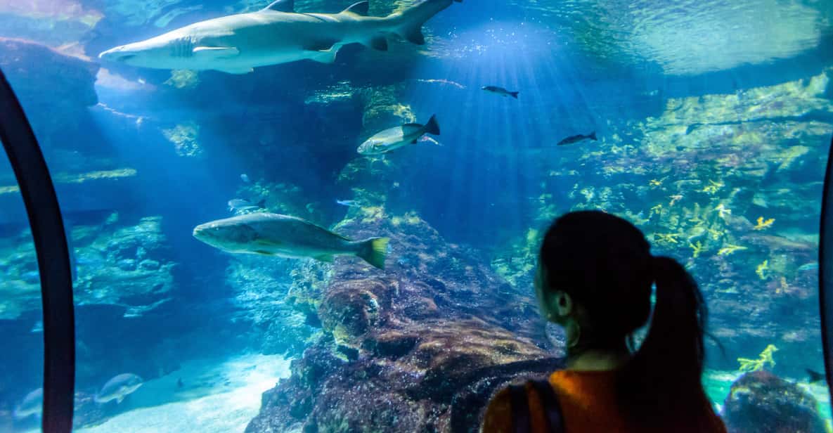 Barcelona Aquarium: Skip-the-Line Admission Ticket