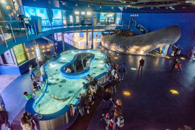 Barcelona Aquarium Ticket Ohne Anstehen GetYourGuide