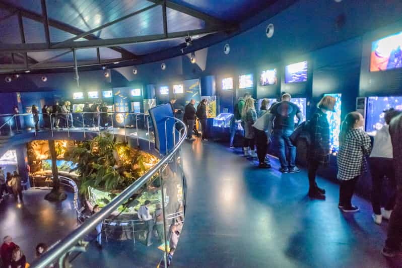Barcelona Aquarium SkiptheLine Admission Ticket GetYourGuide