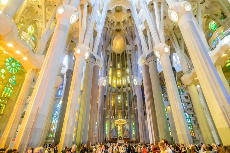 Rondleiding door de Sagrada Familia met toegang tot de torenPrivétour