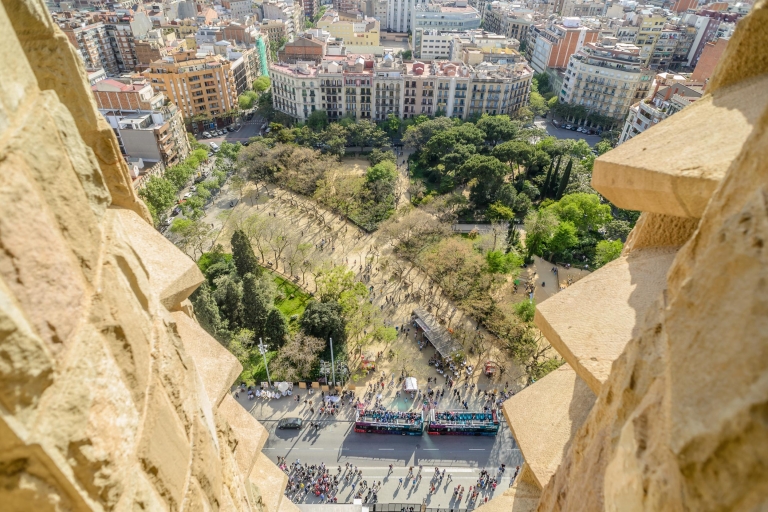 Barcelona: Sagrada Familia Guided Tour with Tower Access Private Tour