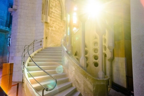 Barcelona: Sagrada Familia Guided Tour with Tower Access Private Tour