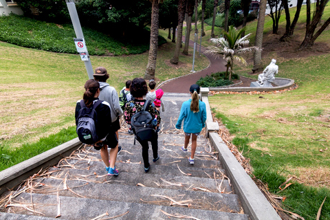 Hidden Auckland tur i liten grupp Rundvandring