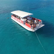Oahu: tour pomeridiano in barca con fondo di vetro a Waikiki