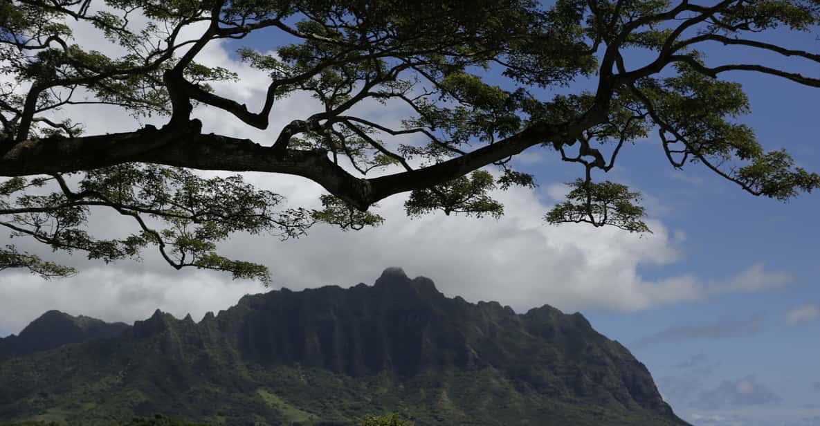 Oahu: Private Full-Day Foodie & Sightseeing Tour