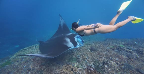 Nusa Penida: 3-Spot Snorkeling With Tropical Marine Life