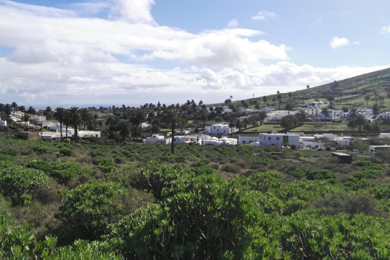 Lanzarote: Nördliche Klippen & Täler WandertourLanzarote: Die nördlichen Klippen & Täler wandern auf Französisch