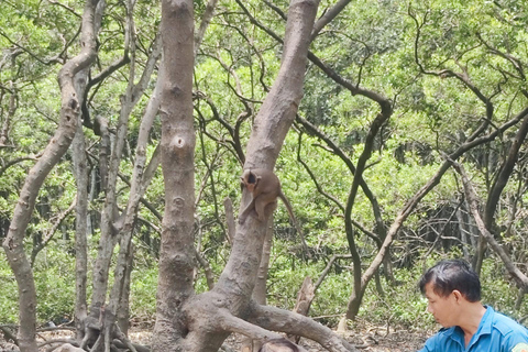 Can Gio Mangrovebos en Apeneiland dagvullende tour