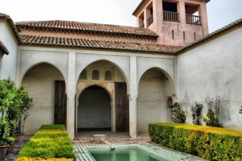Alcazaba i Nasrid Palace w MaladzePrywatna wycieczka