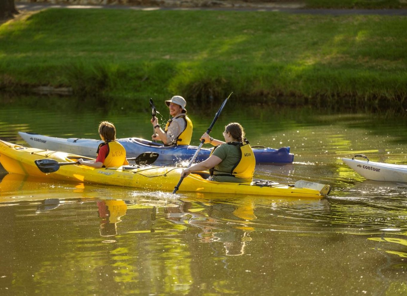 Adelaide: Kajakoplevelse i byen