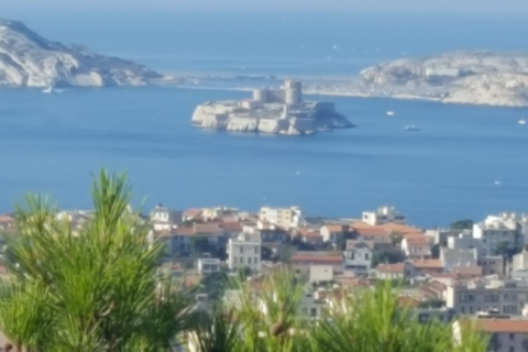 Tour de la ville de Marseille demi-journée