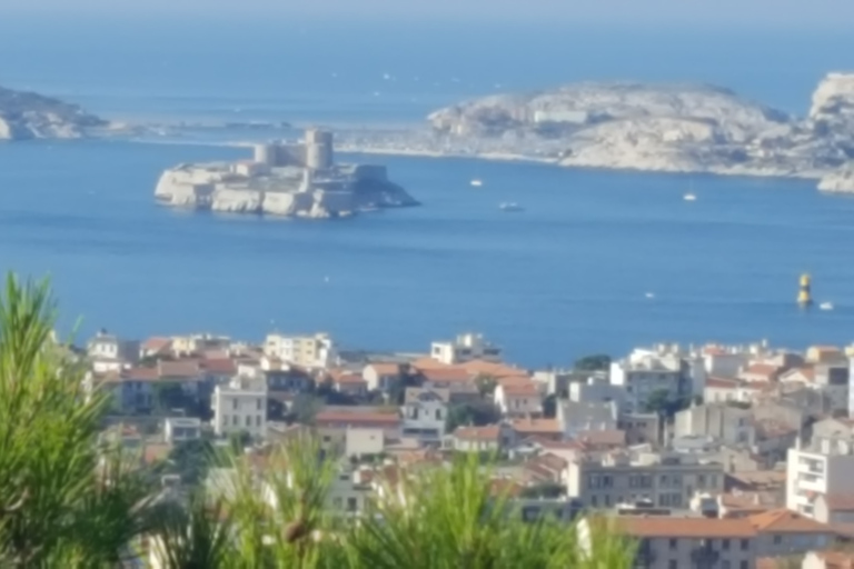 Tour de la ville de Marseille demi-journée