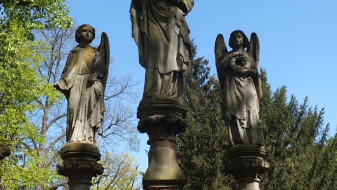 cologne guided tour of the melaten cemetery