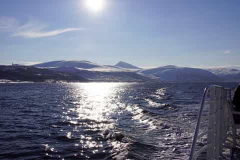 Tromsø: 5-Hour All-Inclusive Wildlife & Bird Fjord Cruise