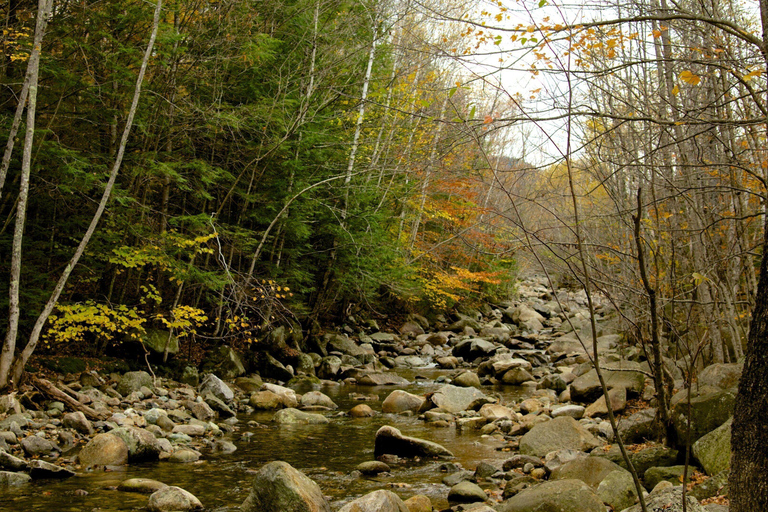 Boston Fall Day Trip to White Mountains, Lost River Gorge