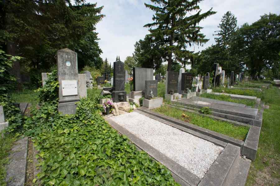 Wien: Geführter Rundgang über den Zentralfriedhof