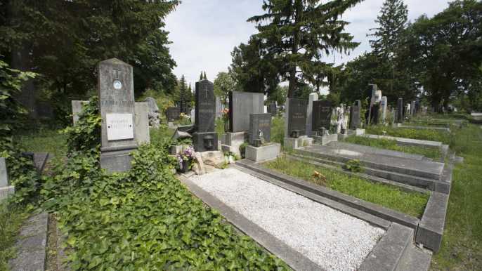 Cementerio central de Viena: ciudad de los muertos