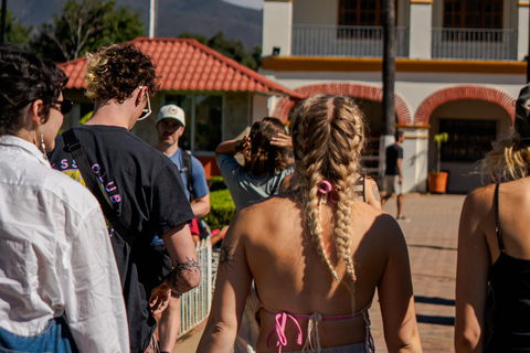 Oaxaca: Traditional Tlacolula Bread, Hierve el Agua, and Mezcal
