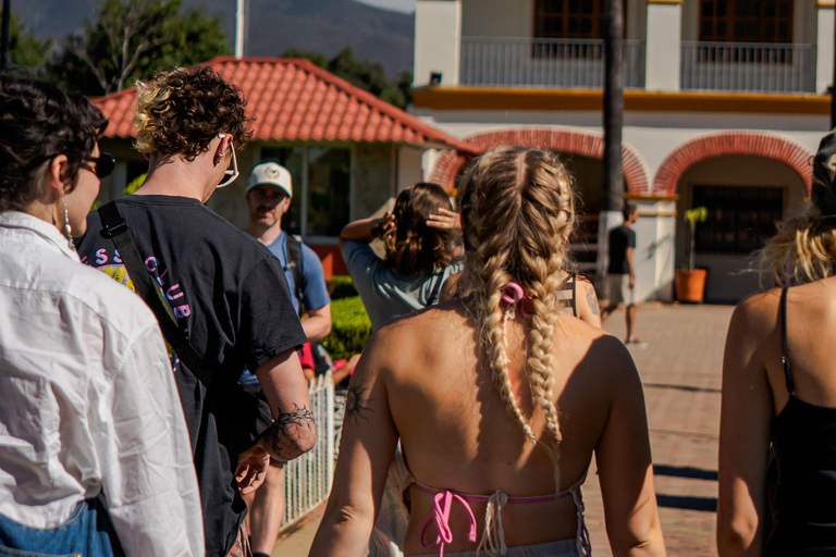 Oaxaca: Traditional Tlacolula Bread, Hierve el Agua, and Mezcal