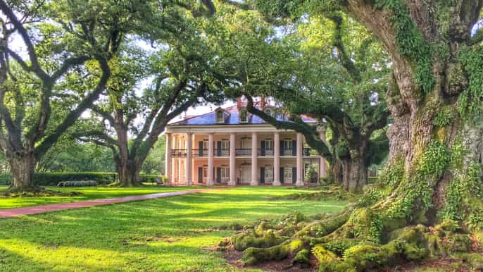 nueva orleans tour por una plantación de robles