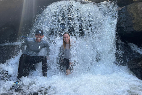 El Yunque &amp; Piñones Tour; Caminha, come e relaxa como um local