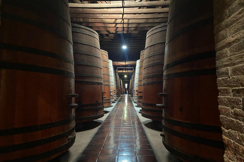 Santiago: Pueblito Los Dominicos & Cousiño Macul Winery