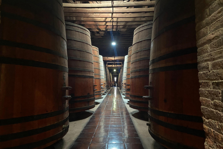 Santiago: Pueblito Los Dominicos & Cousiño Macul Winery