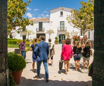 Private Wine, Tapas & Cava Experience from Barcelona