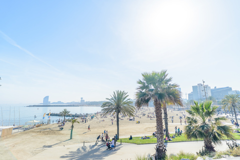 Barcelona: 1,5 h en Segway por la ciudad y el paseo marítimoTour privado en grupo