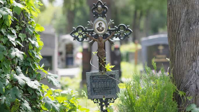 vienna tour del cimitero centrale la città dei morti