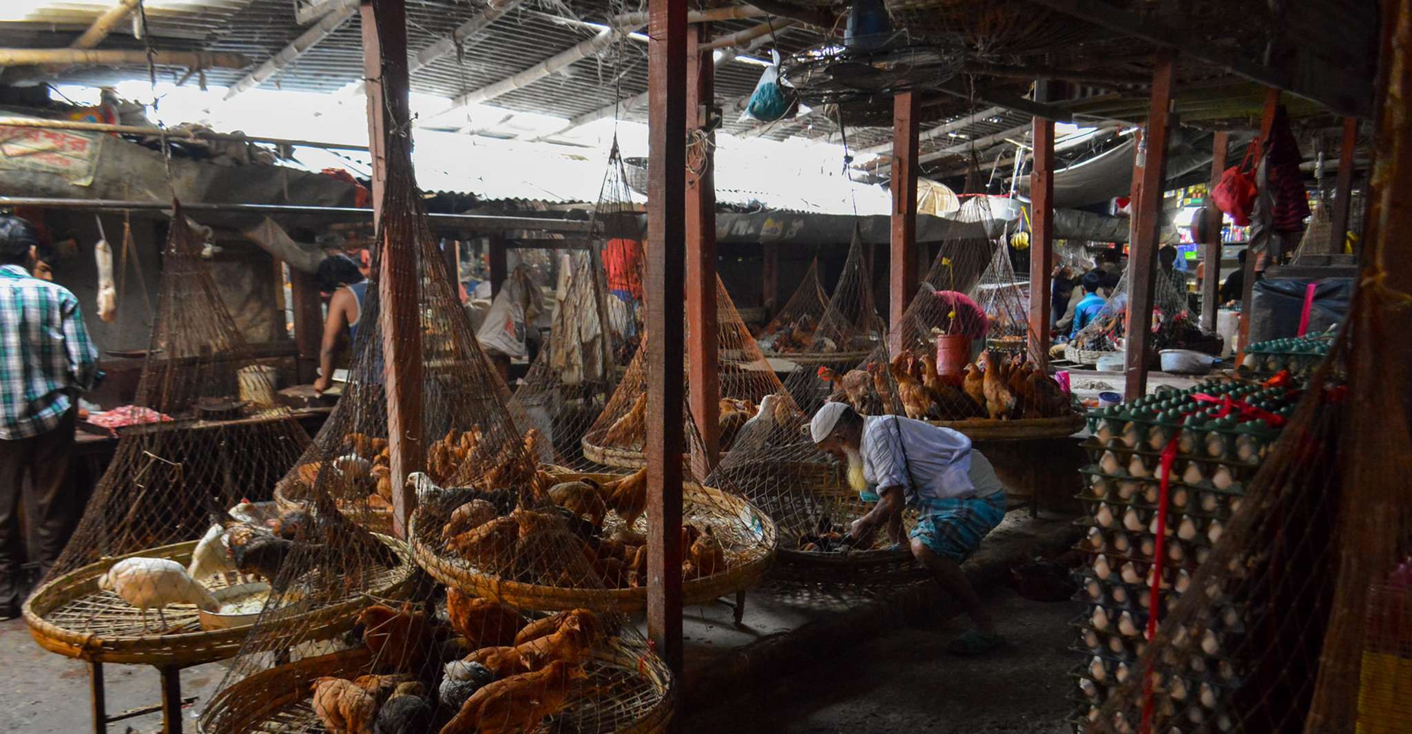 Dhaka, come un tour guidato personalizzato locale - Hizvo