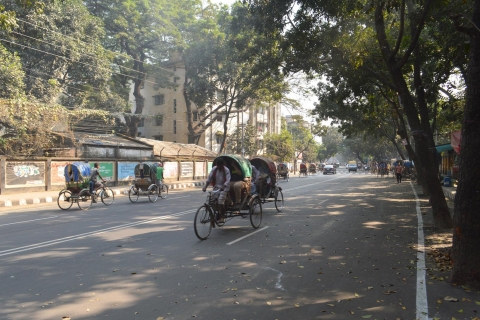Dhaka: jak Lokalny Przewodnik z przewodnikiemDhaka: 3-Godzinna Jak Lokalna Indywidualna Przewodnik z przewodnikiem