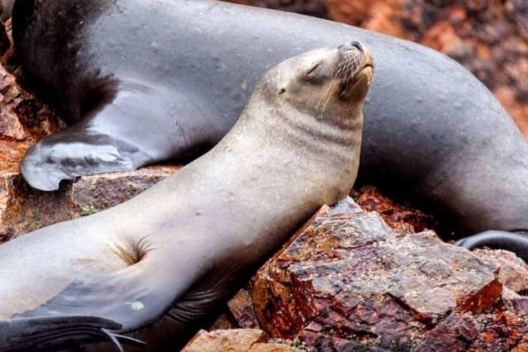 باراكاس توتال: جزر باليستاس والمحمية الوطنية في يوم واحد