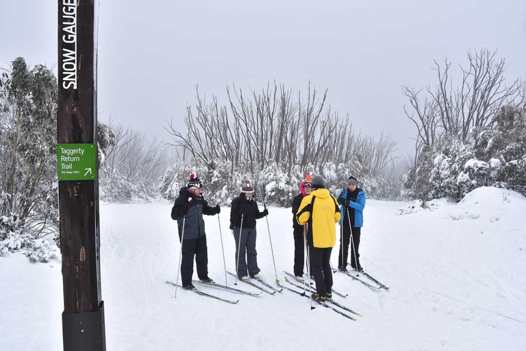 Melbourne: Lake Mountain with Waterfall and Chocolate Tour