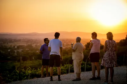 Assisi: Bio-Weinkeller-Tour mit Verkostungen & typischem Essen
