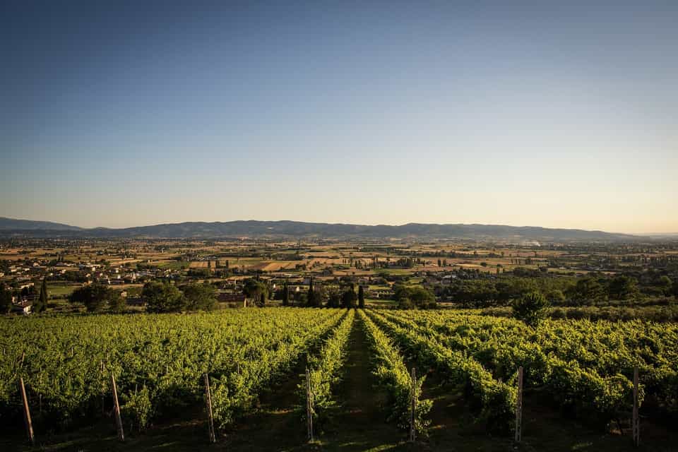 Weinverkostung auf lokalem Weingut