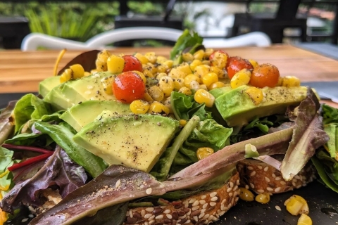 Medellín: ontdek de beste veganistische restaurants van Poblado + meerMedellín: ontdek de beste veganistische restaurants van Poblado
