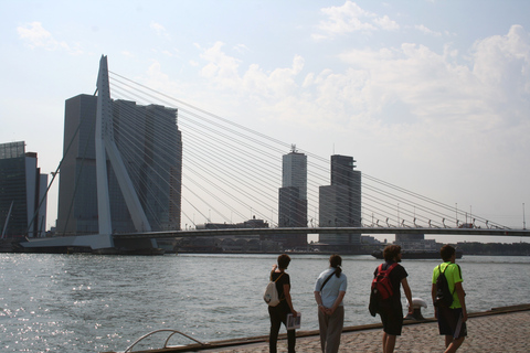 Visite à pied sur l’architecture de Rotterdam