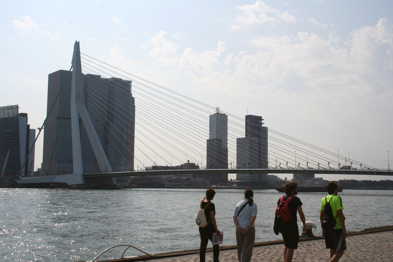 Rotterdam: Tour guidato a piedi dei punti salienti dell&#039;architettura di RotterdamTour di gruppo