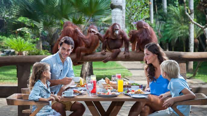 bali zoo breakfast with the orangutans