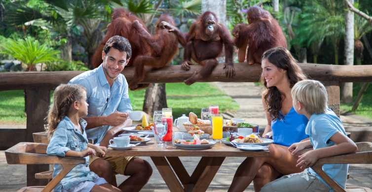 Bali Zoo Breakfast with the Orangutans GetYourGuide